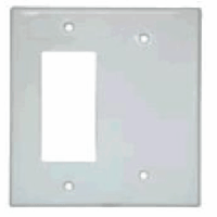 White 2-Gang blank plate